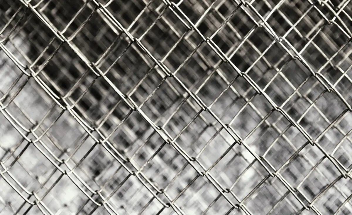 Wire Mesh